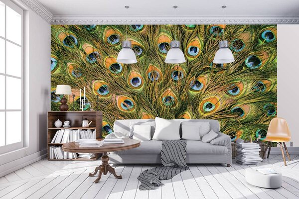 Foto tapeta - Paunovo perje (152,5x104 cm)