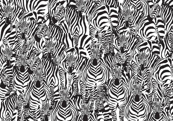 Foto tapeta - Zebra (152,5x104 cm)