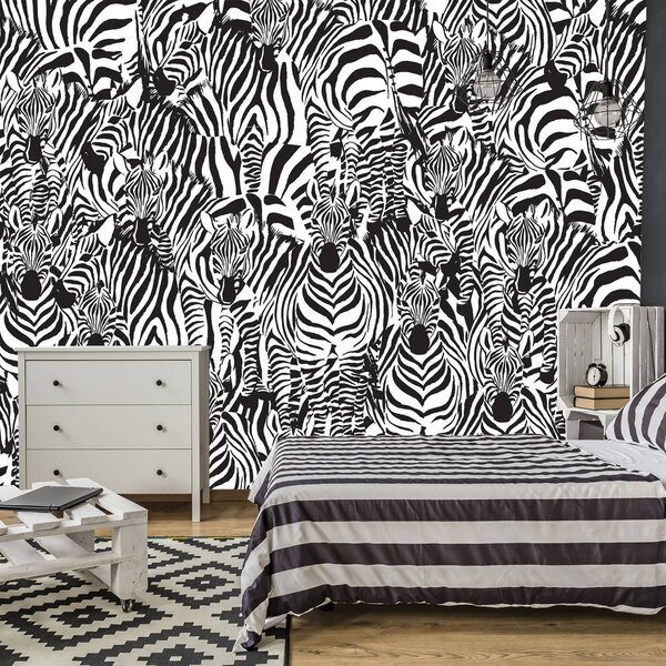 Foto tapeta - Zebra (152,5x104 cm)