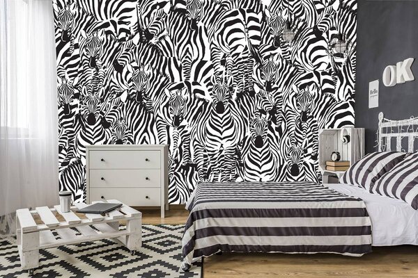 Foto tapeta - Zebra (152,5x104 cm)