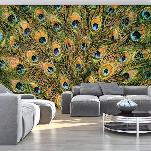 Foto tapeta - Paunovo perje (152,5x104 cm)
