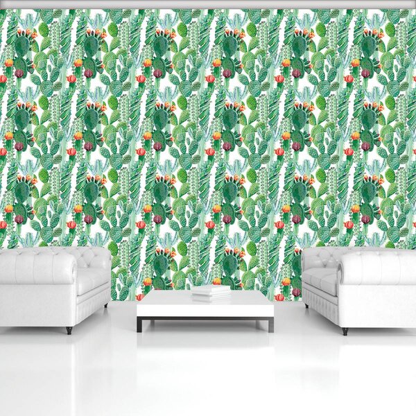 Foto tapeta - Kaktus (152,5x104 cm)