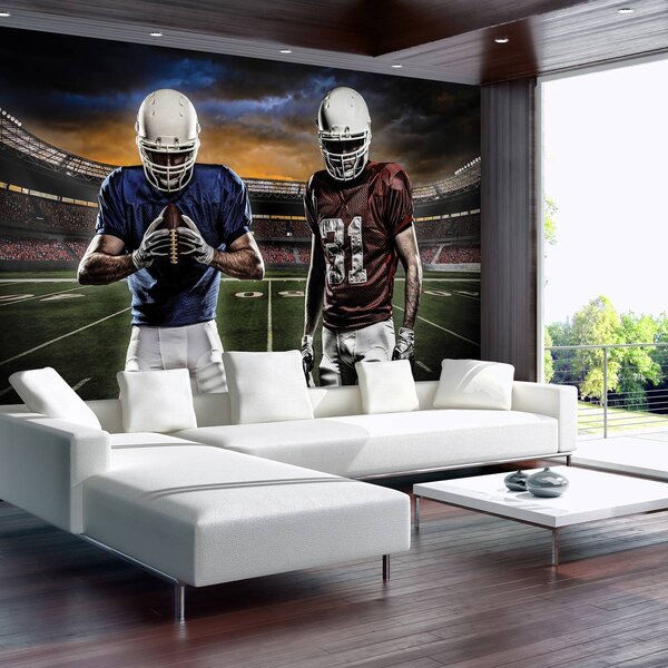 Foto tapeta - Stadion za američki nogomet (152,5x104 cm)