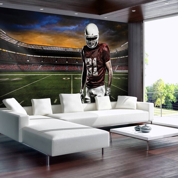 Foto tapeta - Stadion za američki nogomet (152,5x104 cm)