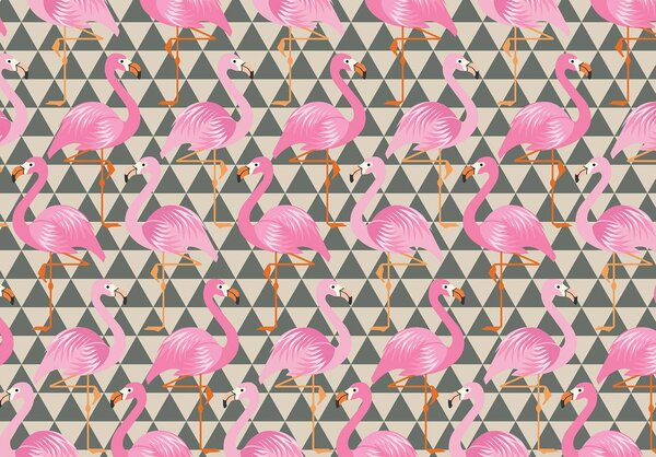 Foto tapeta - Flamingo (152,5x104 cm)
