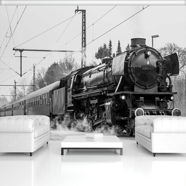 Foto tapeta - Parna lokomotiva (152,5x104 cm)