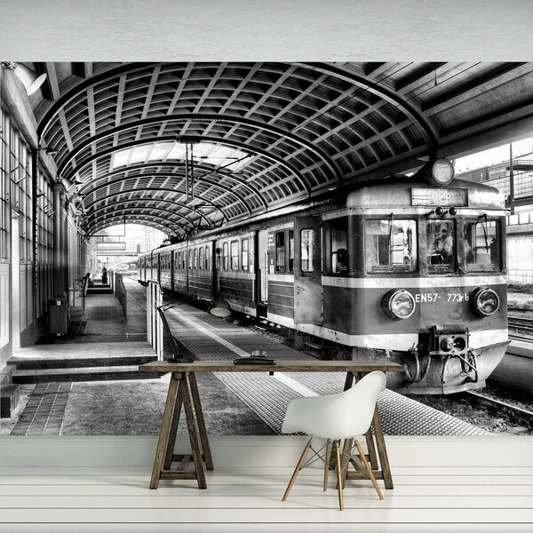 Foto tapeta - Vlak na kolodvoru (152,5x104 cm)