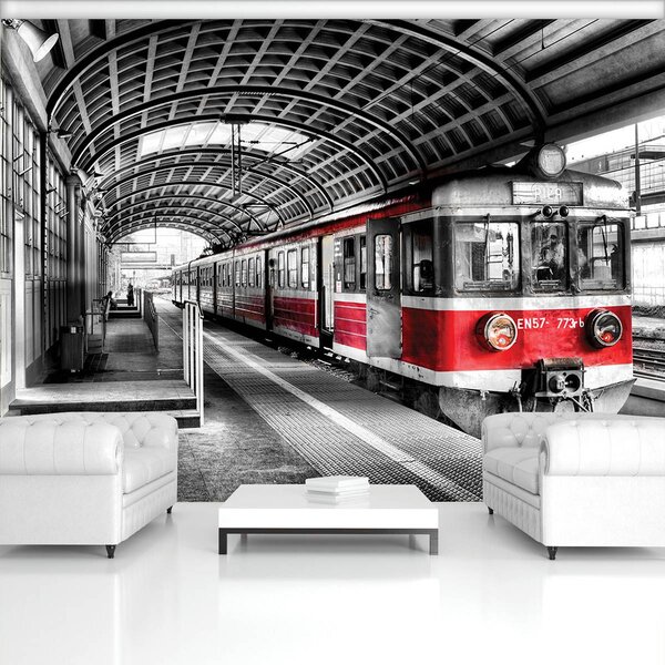 Foto tapeta - Vlak (152,5x104 cm)