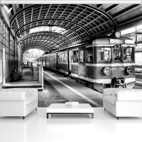 Foto tapeta - Vlak na kolodvoru (152,5x104 cm)
