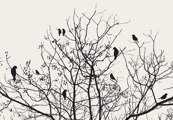 Foto tapeta - Stablo (152,5x104 cm)