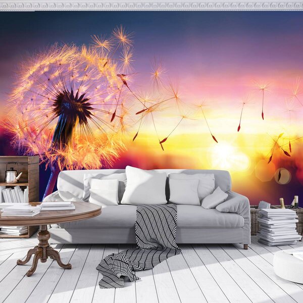 Foto tapeta - Maslačak (152,5x104 cm)