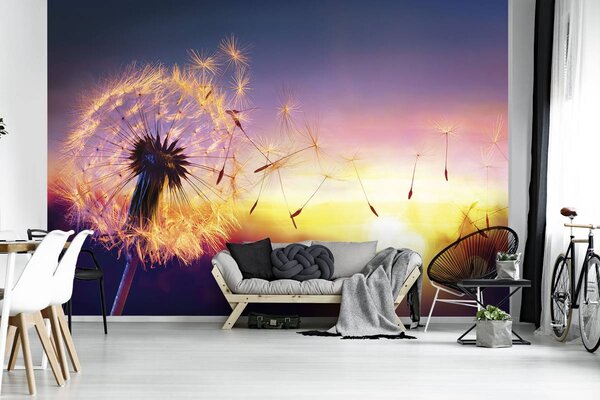 Foto tapeta - Maslačak (152,5x104 cm)