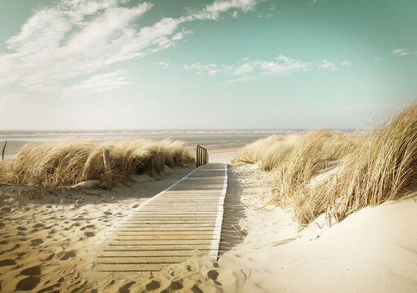 Foto tapeta - Plaža (152,5x104 cm)