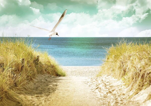 Foto tapeta - Plaža (152,5x104 cm)