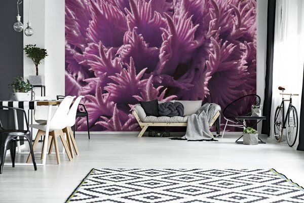 Foto tapeta - Biljke (152,5x104 cm)