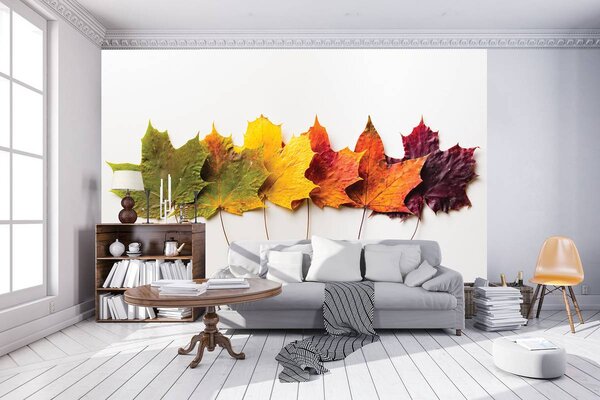 Foto tapeta - Jesenje lišće (152,5x104 cm)