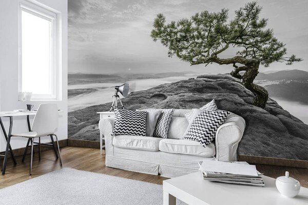 Foto tapeta - Stablo na stijeni (152,5x104 cm)