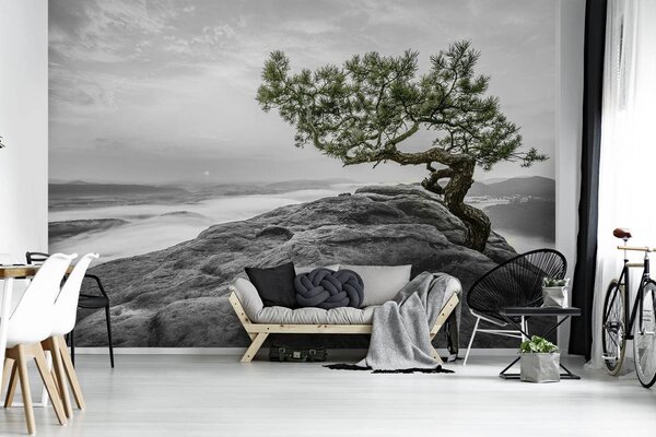 Foto tapeta - Stablo na stijeni (152,5x104 cm)