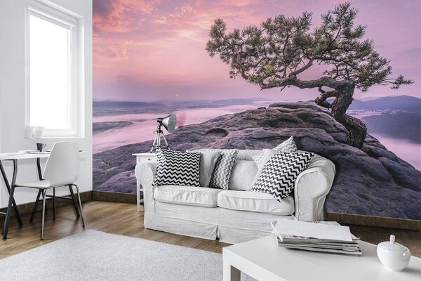 Foto tapeta - Stablo na stijeni (152,5x104 cm)