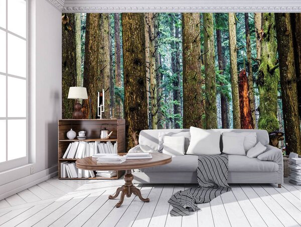 Foto tapeta - Šuma (152,5x104 cm)