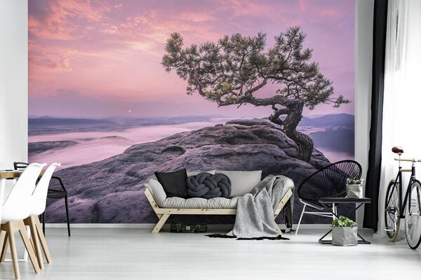 Foto tapeta - Stablo na stijeni (152,5x104 cm)