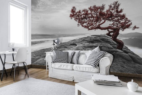 Foto tapeta - Stablo na stijeni (152,5x104 cm)