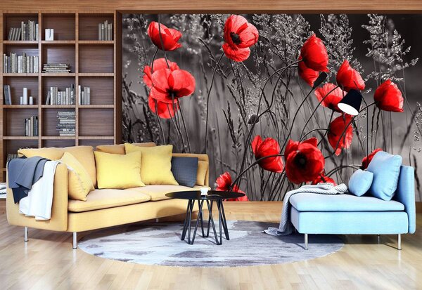 Foto tapeta - Makovi (152,5x104 cm)