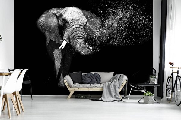 Foto tapeta - Slon (152,5x104 cm)
