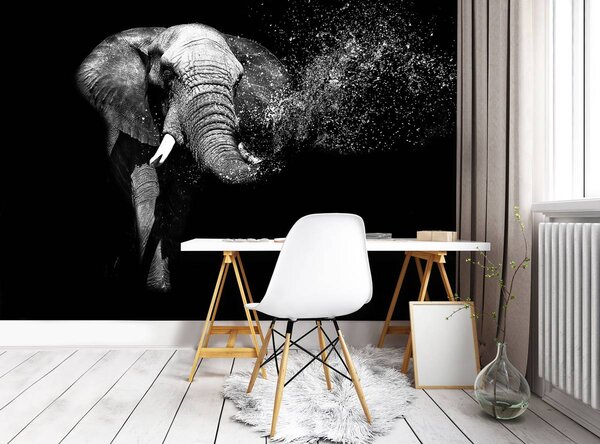 Foto tapeta - Slon (152,5x104 cm)