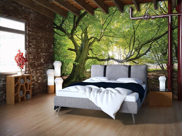 Foto tapeta - Stablo (152,5x104 cm)
