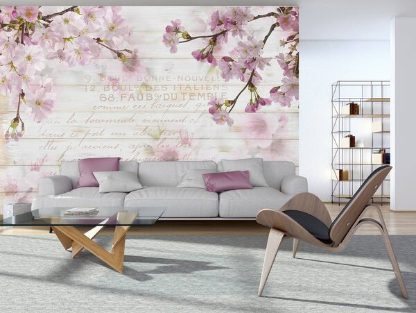 Foto tapeta - Trešnjin cvijet (152,5x104 cm)