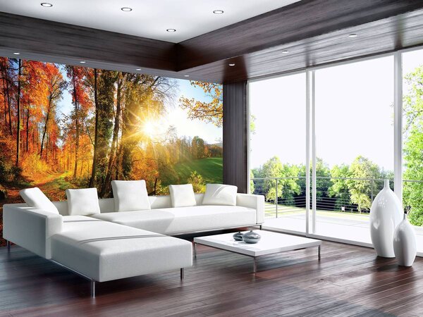 Foto tapeta - Jesenska šuma (152,5x104 cm)
