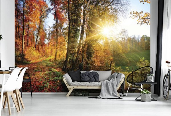 Foto tapeta - Jesenska šuma (152,5x104 cm)