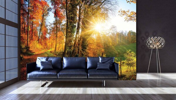 Foto tapeta - Jesenska šuma (152,5x104 cm)