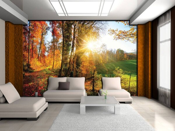Foto tapeta - Jesenska šuma (152,5x104 cm)