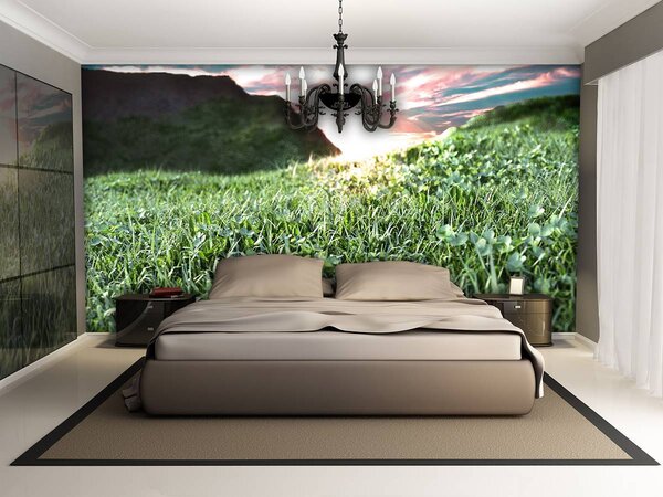 Foto tapeta - Trava (152,5x104 cm)
