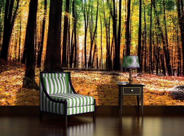 Foto tapeta - Šume (152,5x104 cm)