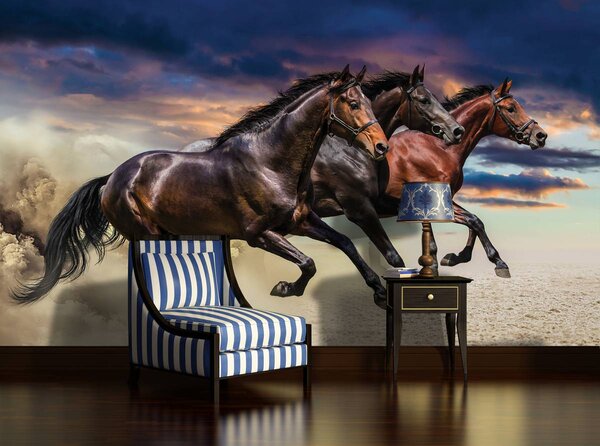 Foto tapeta - Konj (152,5x104 cm)