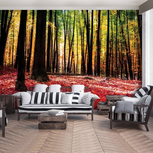 Foto tapeta - Šuma (152,5x104 cm)