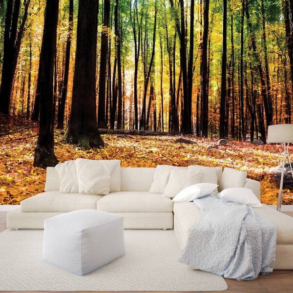 Foto tapeta - Šume (152,5x104 cm)