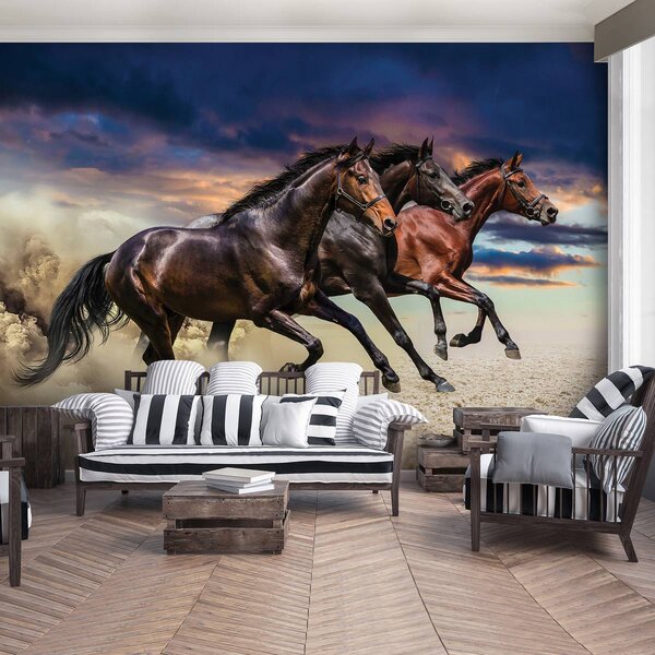 Foto tapeta - Konj (152,5x104 cm)