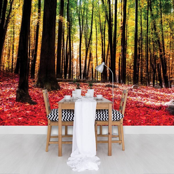 Foto tapeta - Šuma (152,5x104 cm)