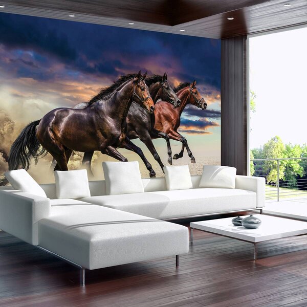 Foto tapeta - Konj (152,5x104 cm)