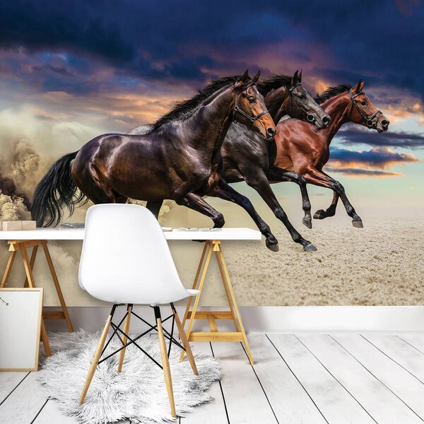 Foto tapeta - Konj (152,5x104 cm)
