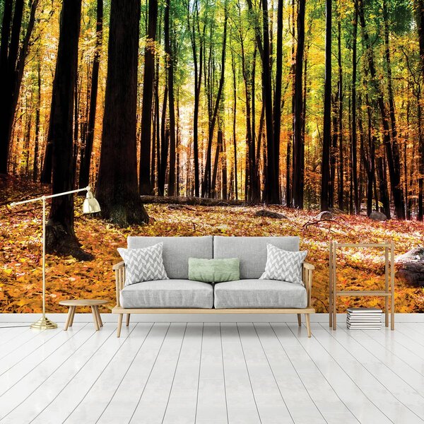Foto tapeta - Šume (152,5x104 cm)