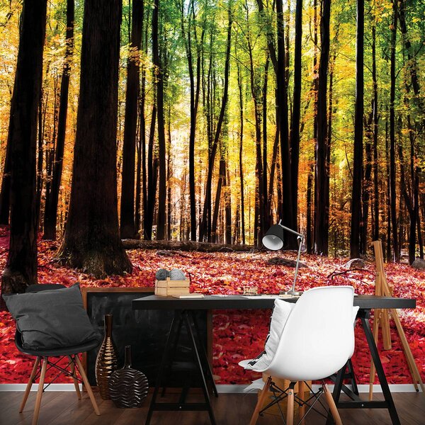 Foto tapeta - Šuma (152,5x104 cm)