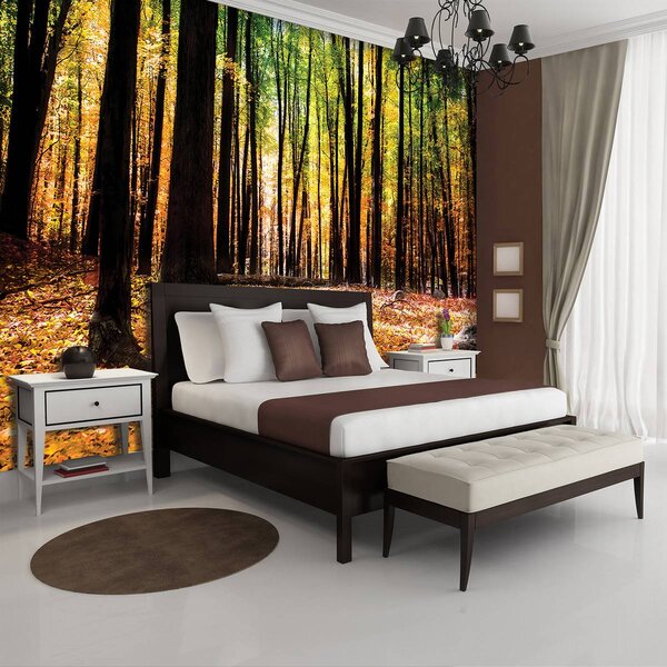 Foto tapeta - Šume (152,5x104 cm)