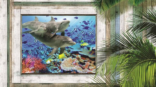 Foto tapeta - Dupini love ribu pod morem (152,5x104 cm)