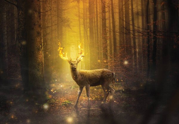 Foto tapeta - Jeleni u sjaju zalazećeg sunca (152,5x104 cm)
