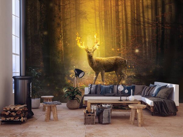 Foto tapeta - Jeleni u sjaju zalazećeg sunca (152,5x104 cm)